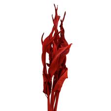 20x Dc strel.blad rood 80cm