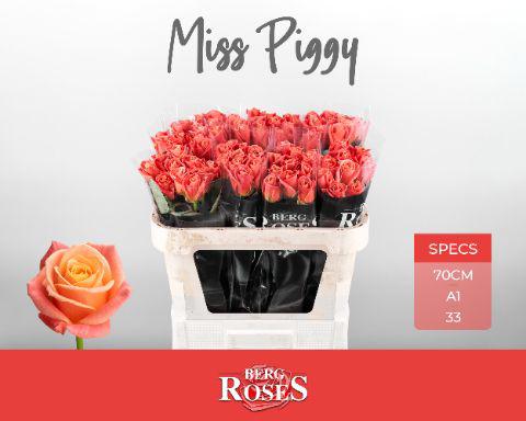 10x Rosa miss piggy+ 70cm