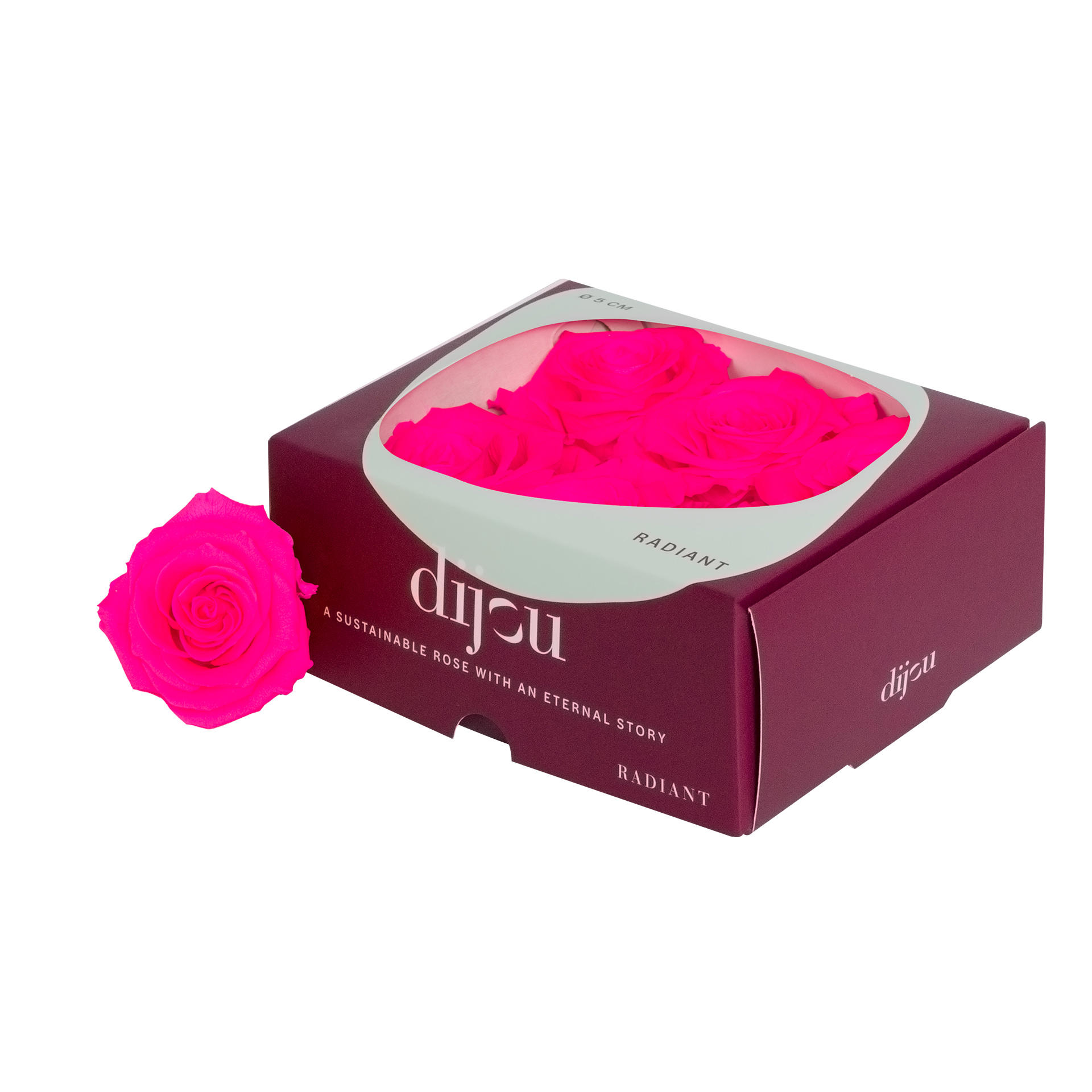 6x Dc pres.rozen neon magenta