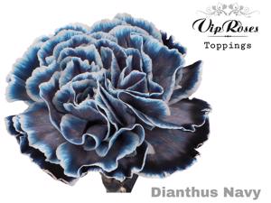 40x Dian.st. navy 60cm