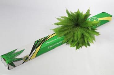 1x Sg umbrella varen