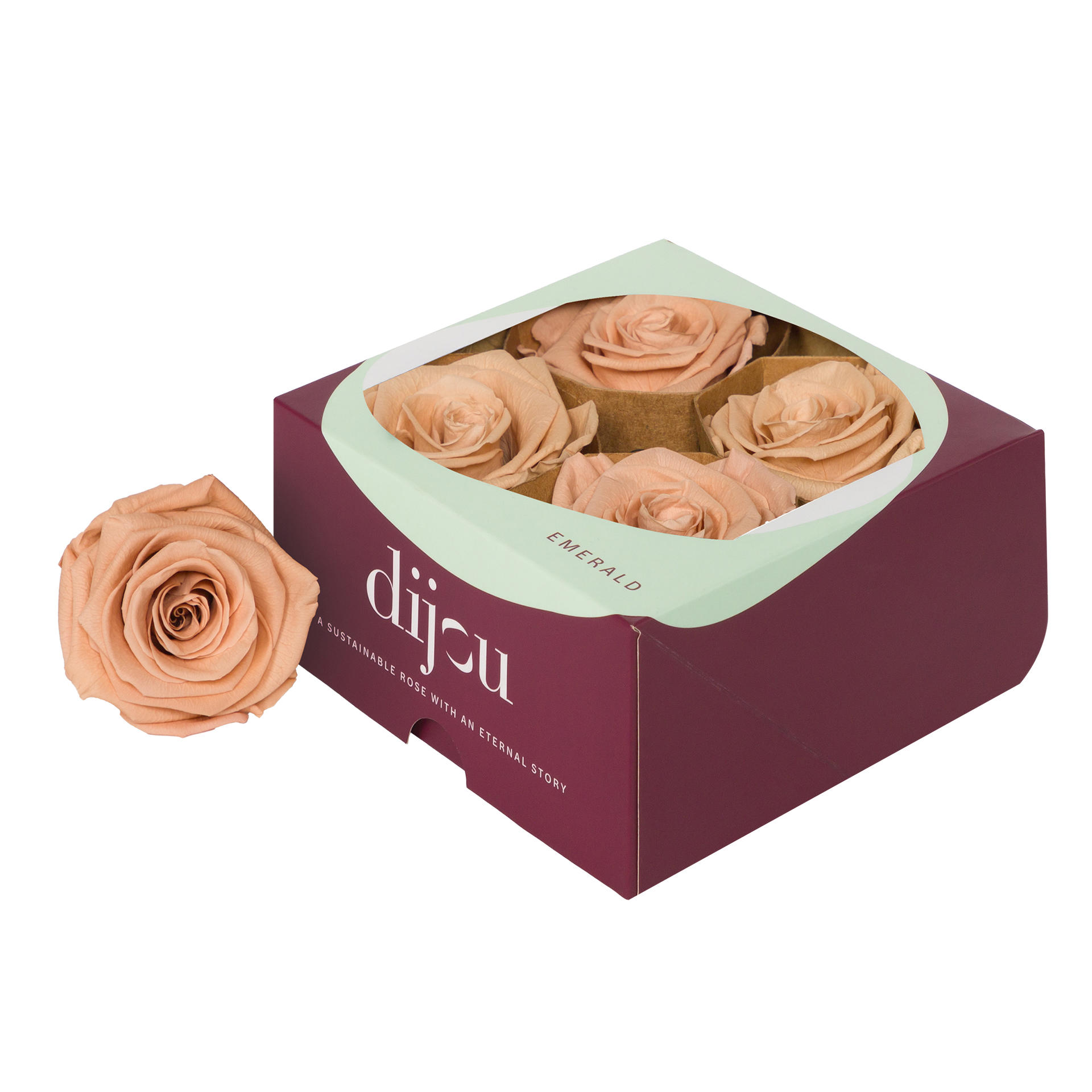 4x Dc pres.rozen apricot