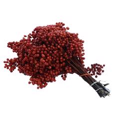 10x Dc pepper berry kerstrood