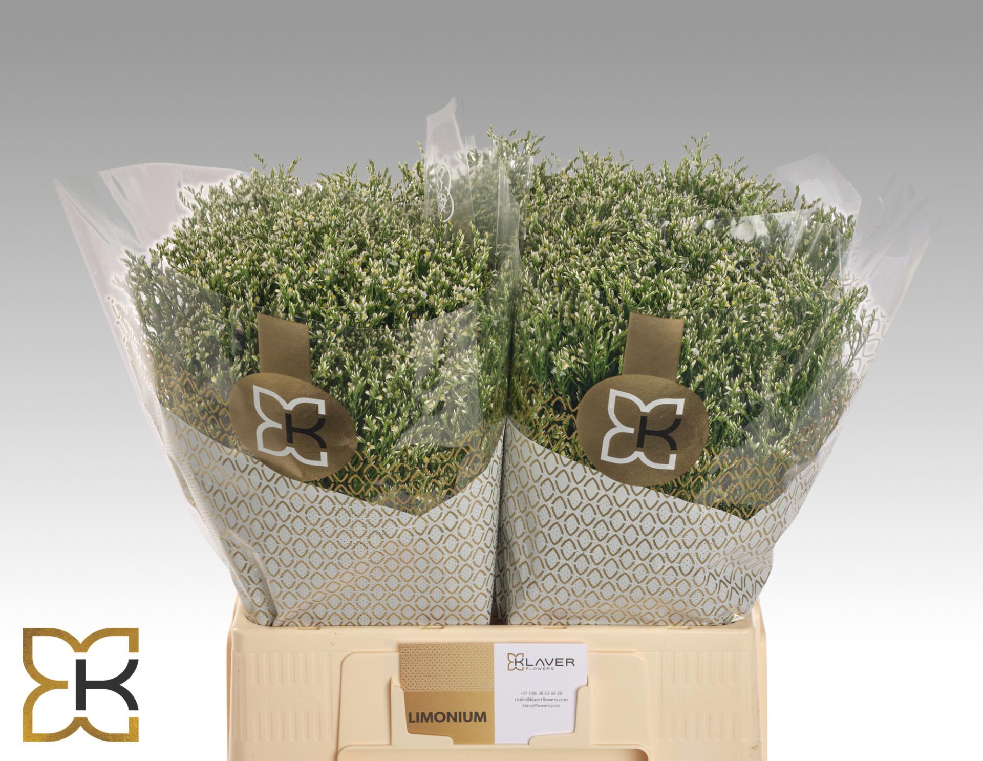 25x Lim.clear diamond 60cm