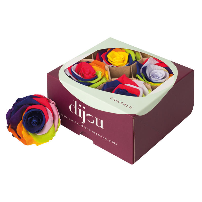 4x Rose preserved dc rainbow 9999c