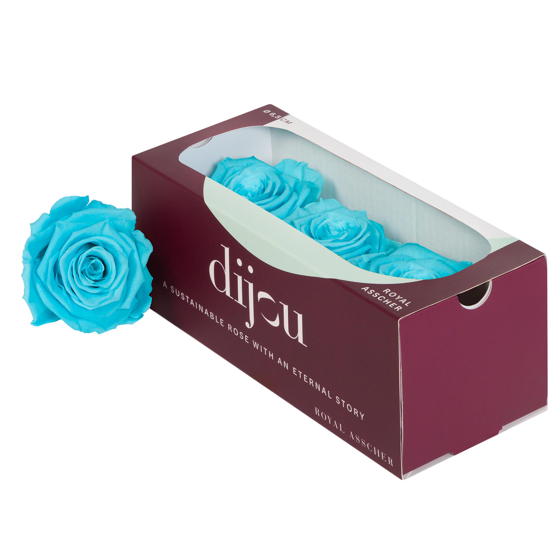 3x Dc pres.rozen cyan 0305c