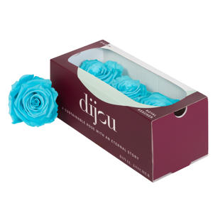 3x Dc pres.rozen cyan 0305c