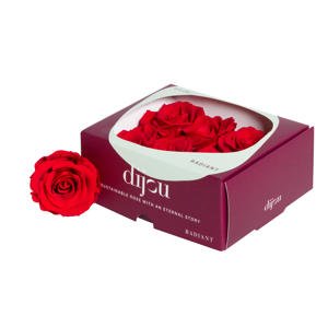 6x Dc pres.rozen light red 1795c