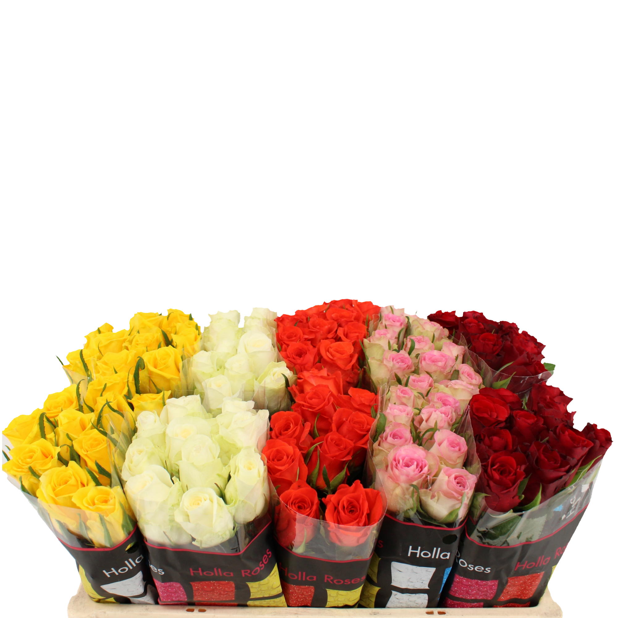 10x Rosa - roze 40cm