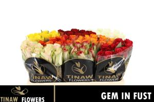 80x Rosa mix var.(grootbloemig) 50cm