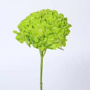 5x Hydr.dark green 50cm