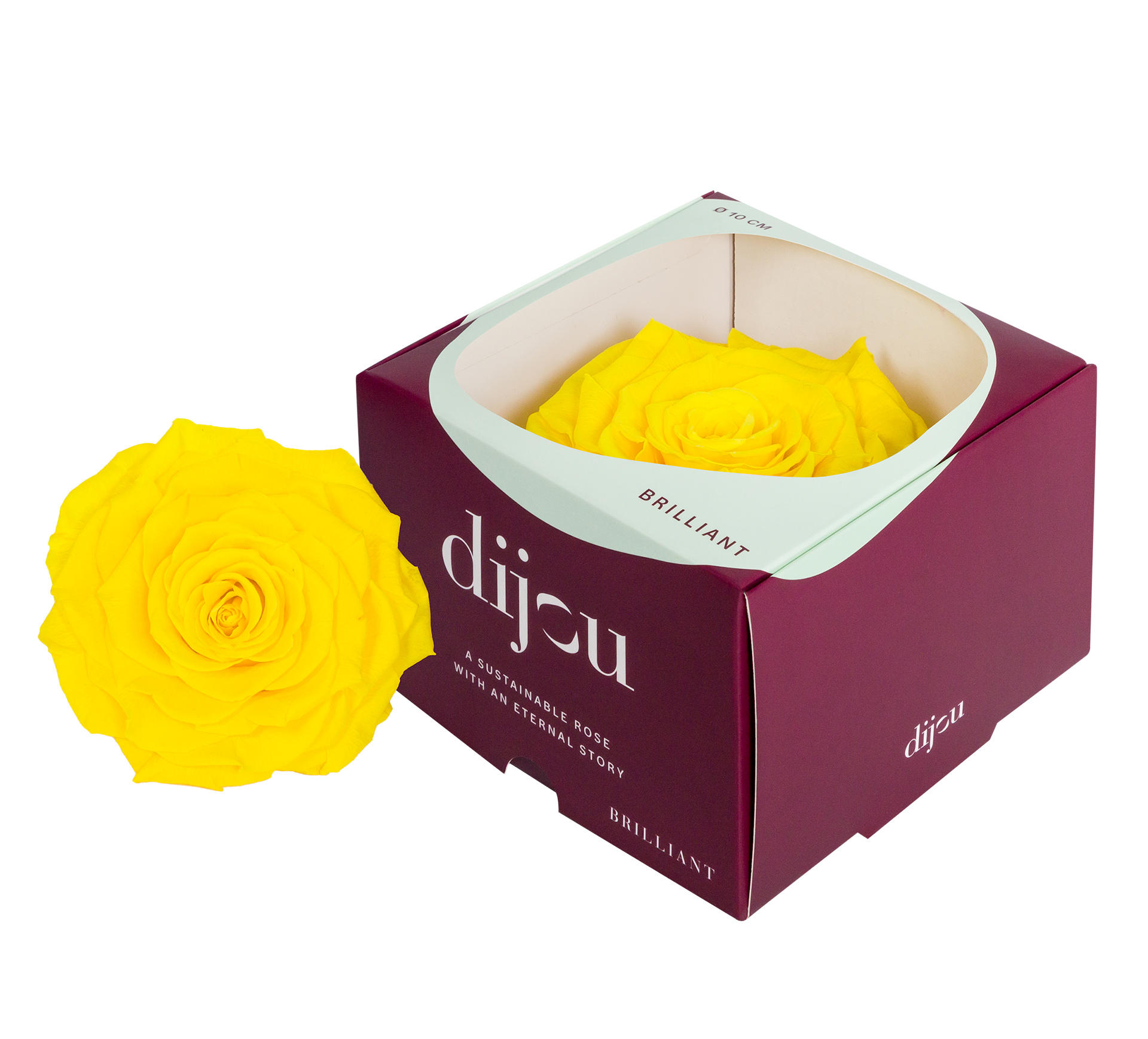1x Dc pres.rozen sunny yellow 0012c