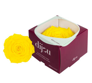 1x Dc pres.rozen sunny yellow 0012c