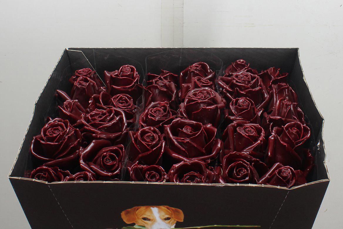 10x Wax roos bordeaux 70cm