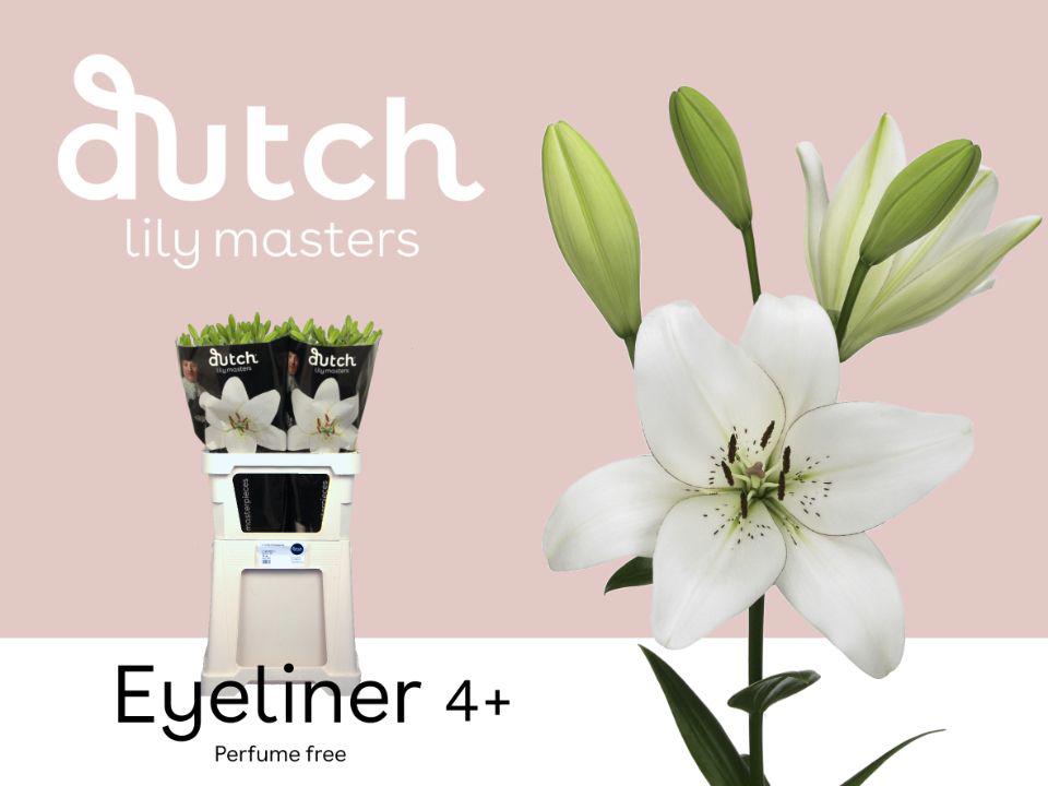 10x Lil.eyeliner la 80cm