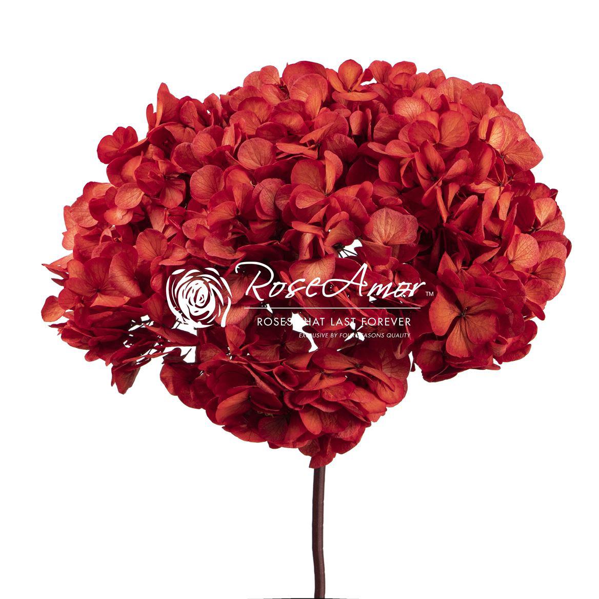 1x Dc pres.hydr.red