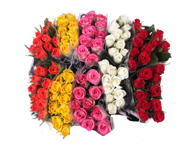 100x Rosa mix vast ammerlaan 30cm