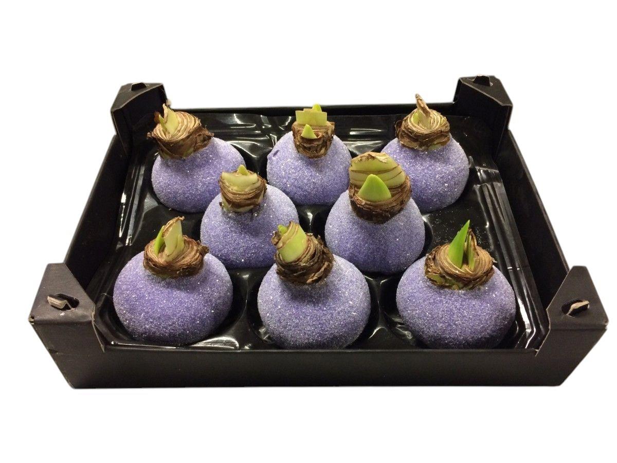 8x Dc wax hipp.lavendel topline glitter