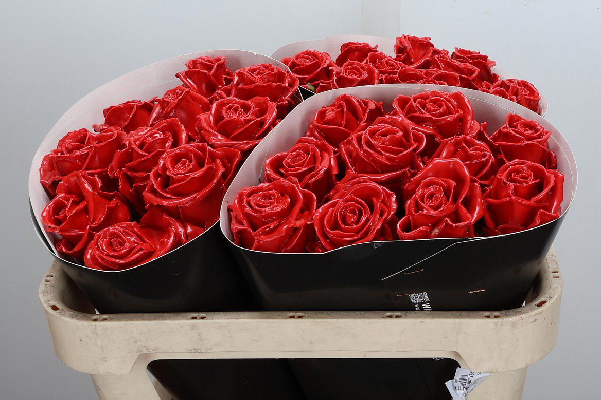 10x Wax roos rood 70cm