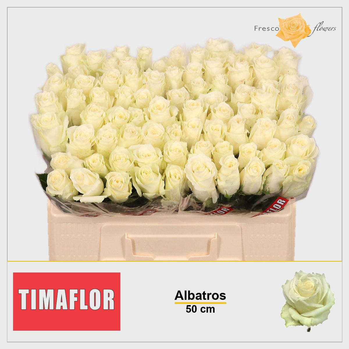 10 witte rozen van 50 cm
