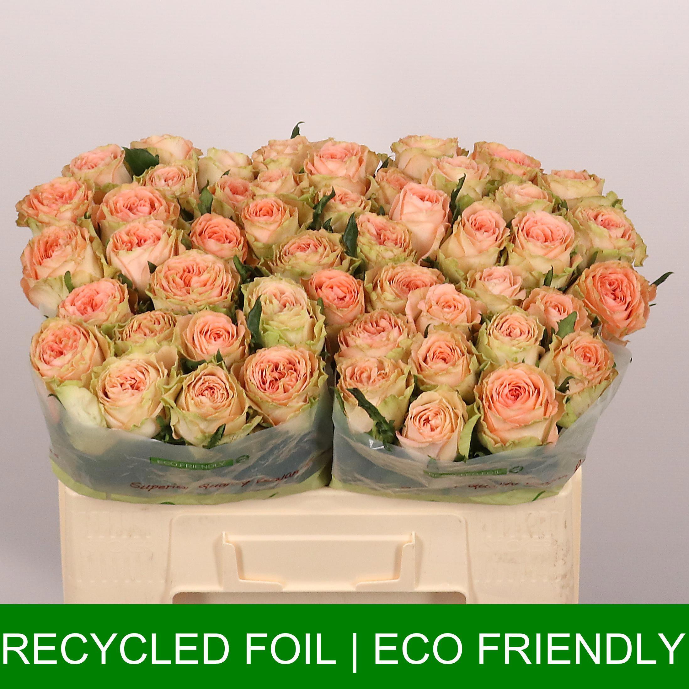 10x Rosa country spirit home 50cm