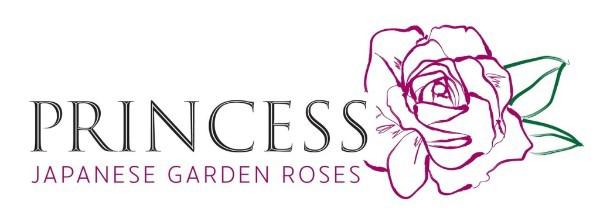 24x Rosa princess fairy pink 50cm
