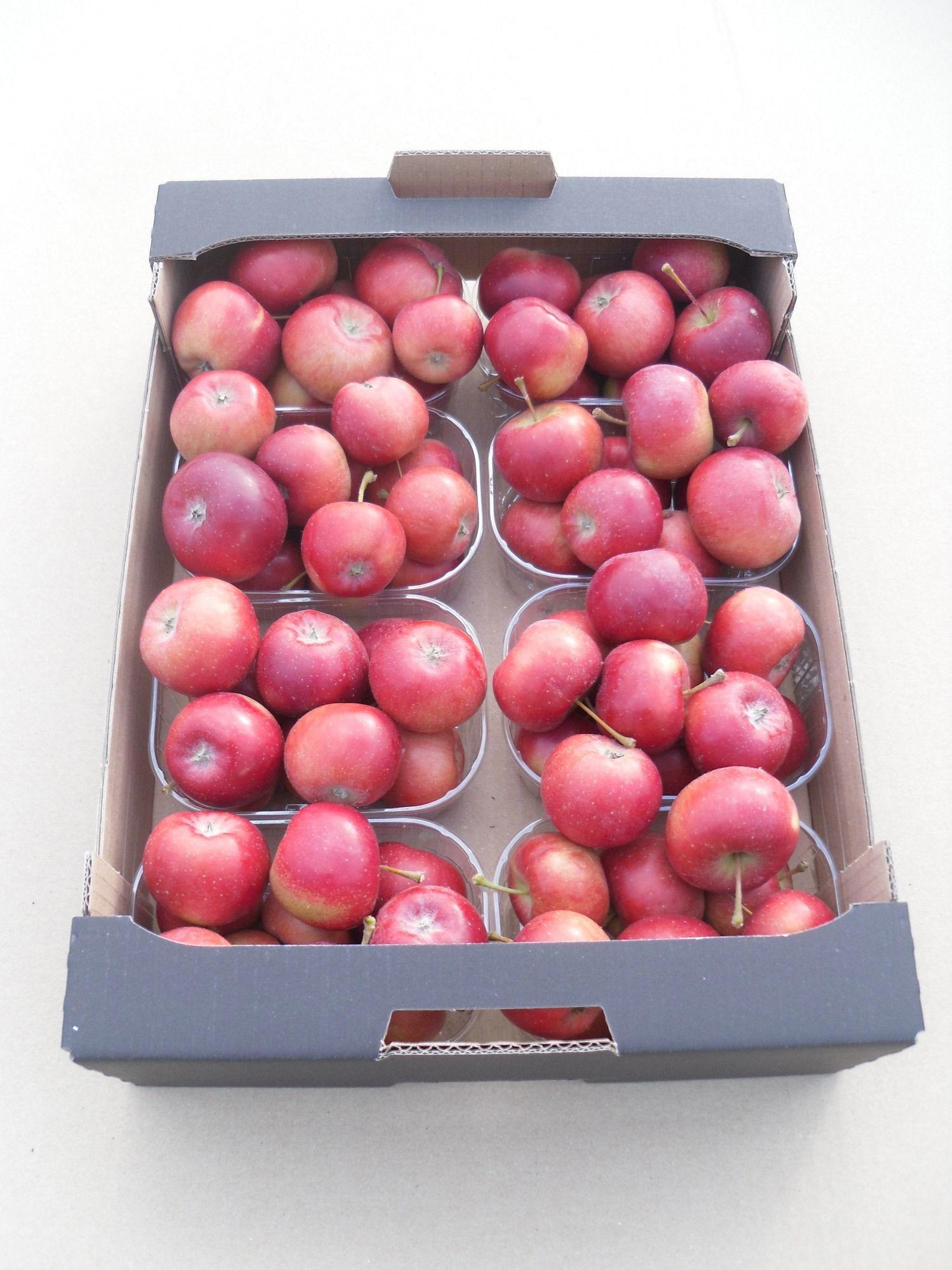 8x Sf appel rood