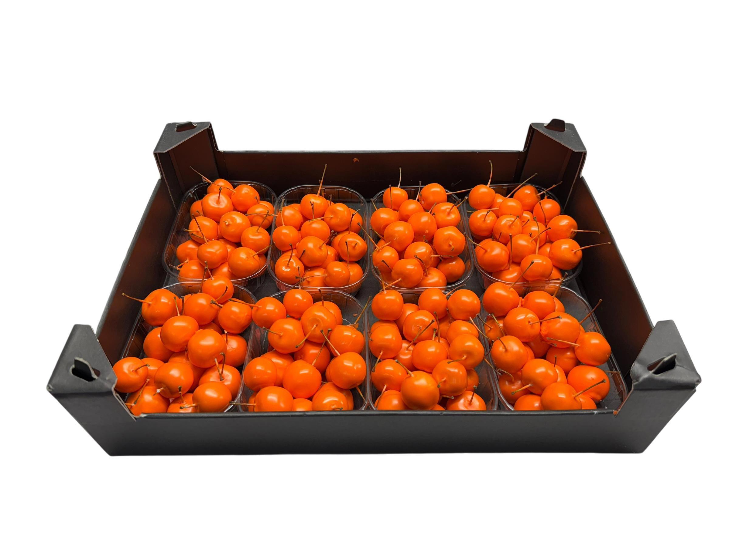 8x Sf malus wax oranje