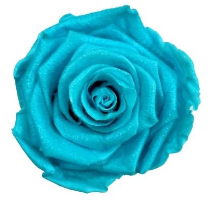 4x Dc pres.rozen teddy cyan