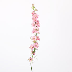 10x Delph.aj.qis pink 80cm