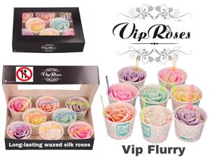 16x Rosa r101 vip flurry mix 10cm