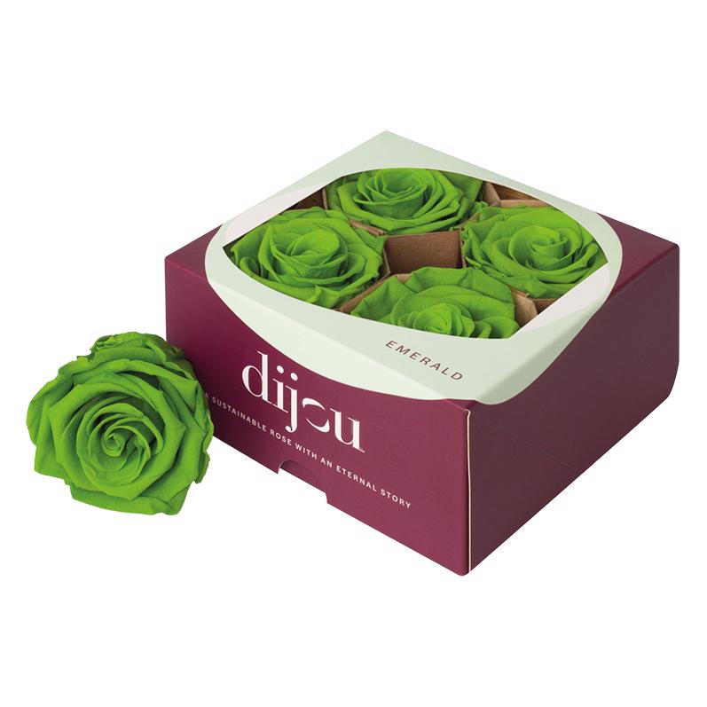 4x Dc pres.rozen lime green 2298c
