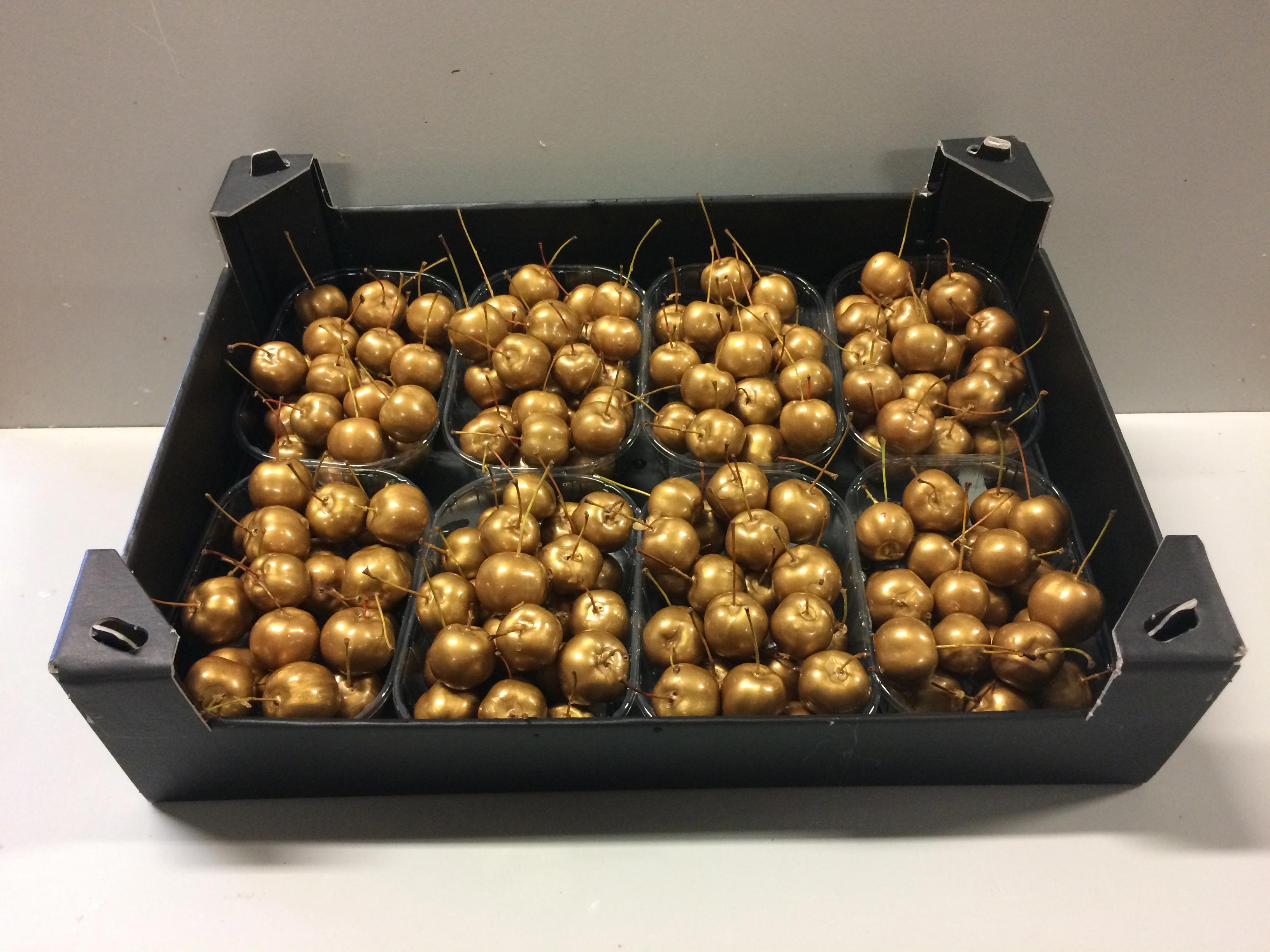8x Sf malus wax goud