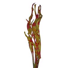 20x Dc strel.blad herfst 80cm
