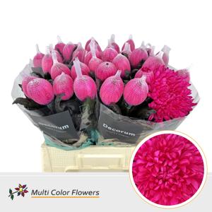 10x Chrysant antonov hot pink 70cm