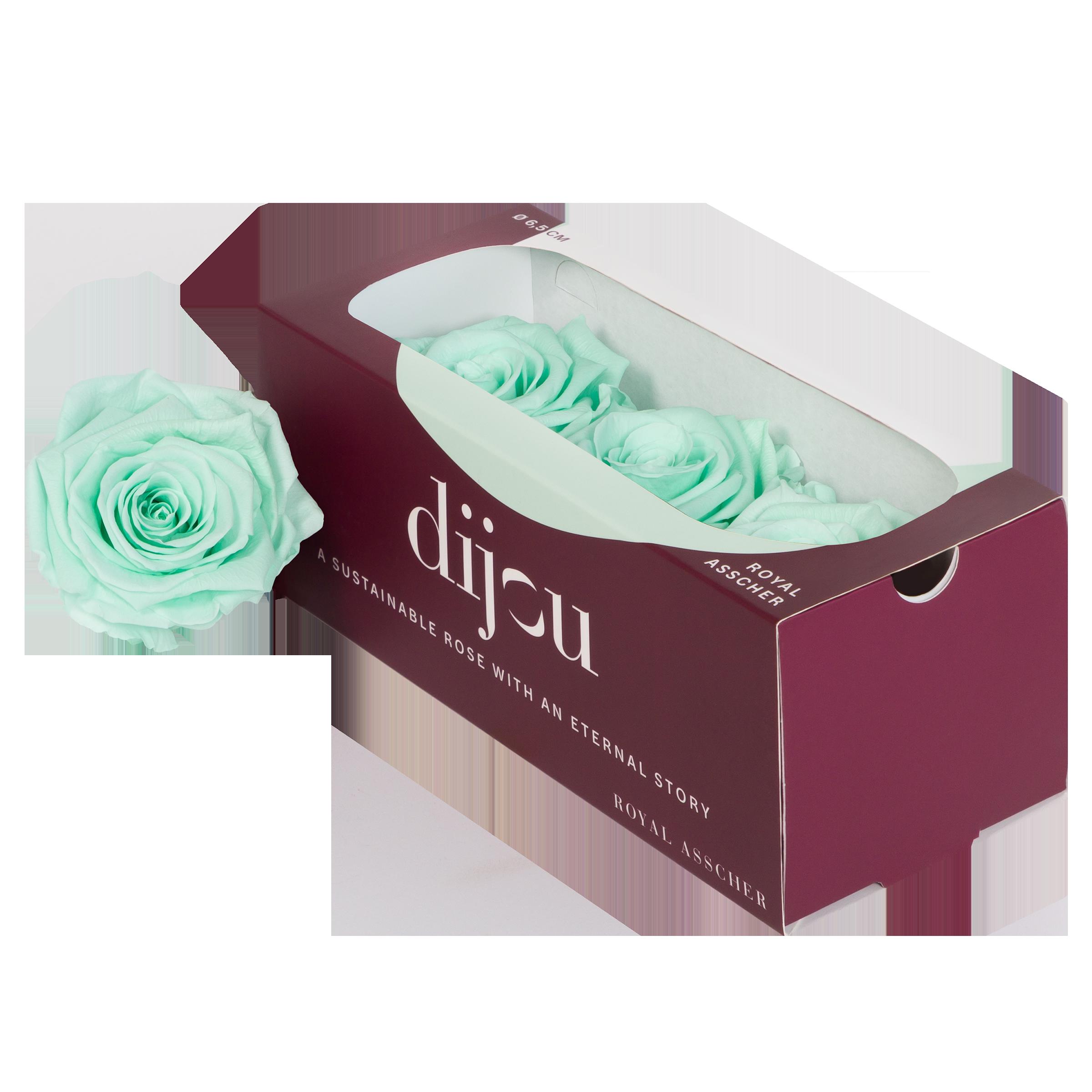 3x Dc pres.rozen mint 0572c