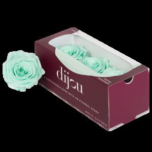 3x Dc pres.rozen mint 0572c