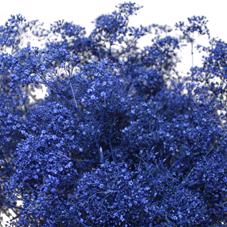 25x Gipskruid m.stars blauw 80cm