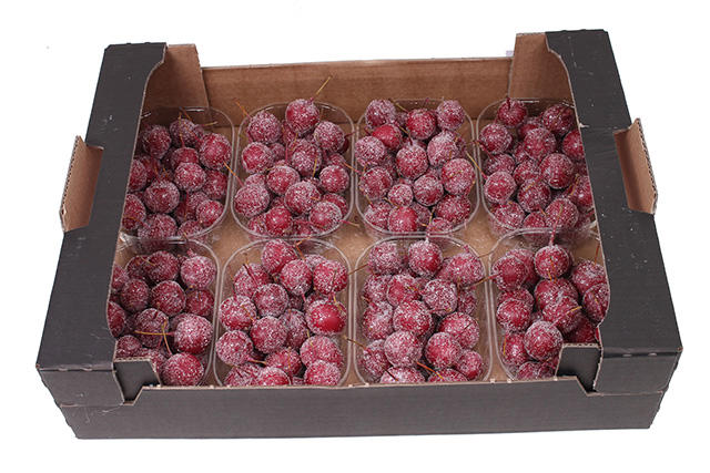 8x Sf malus wax bordeaux + glitter