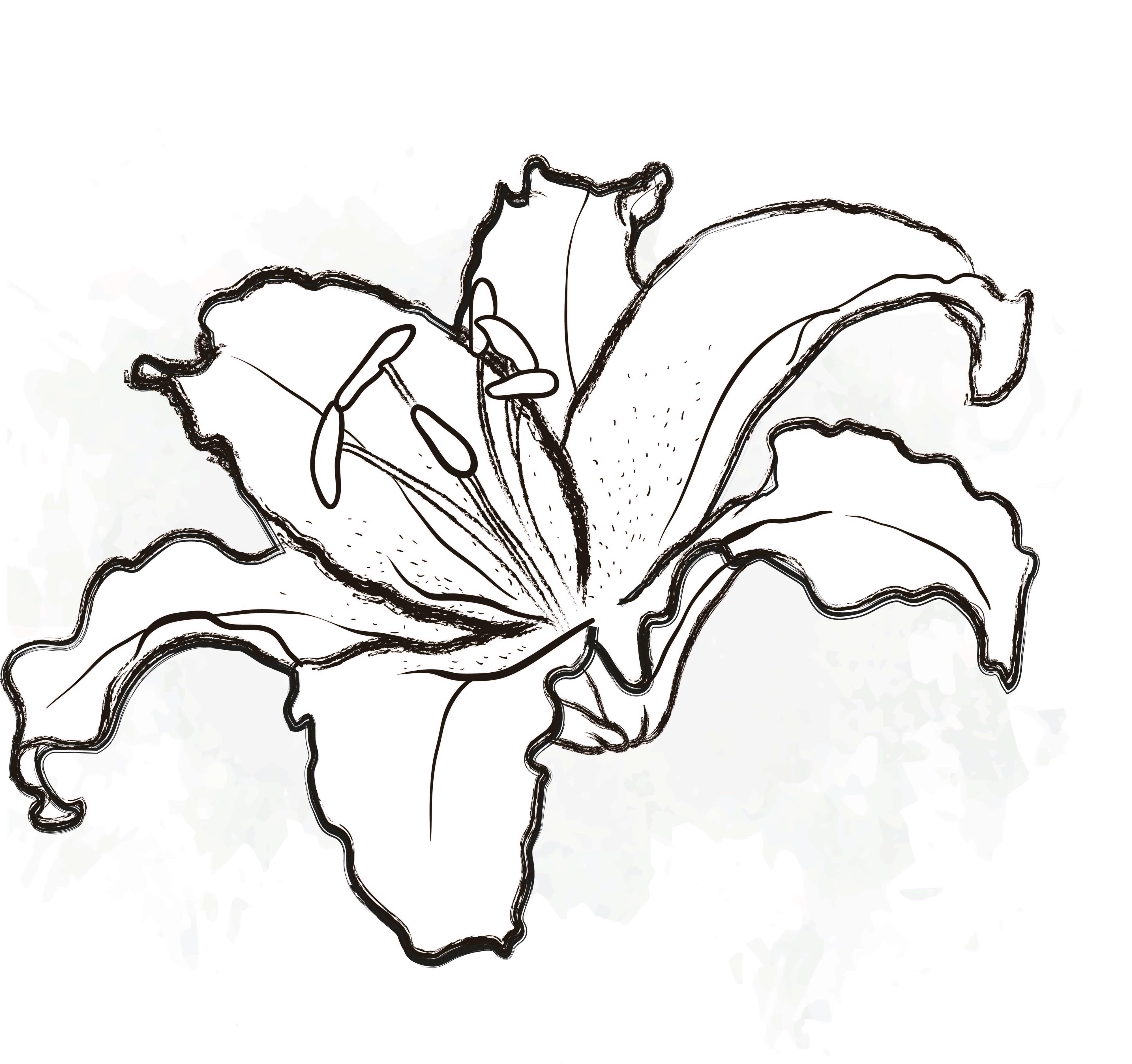 10x Lil. 4 wit or 80cm