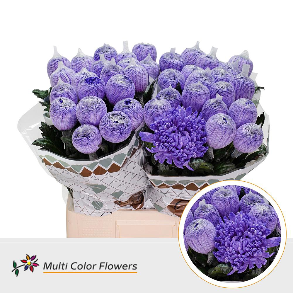 10x Chrysant antonov milka 70cm