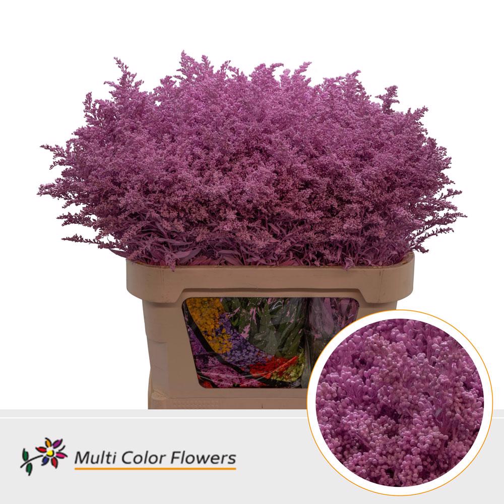 25x Solid.(v) roze 80cm