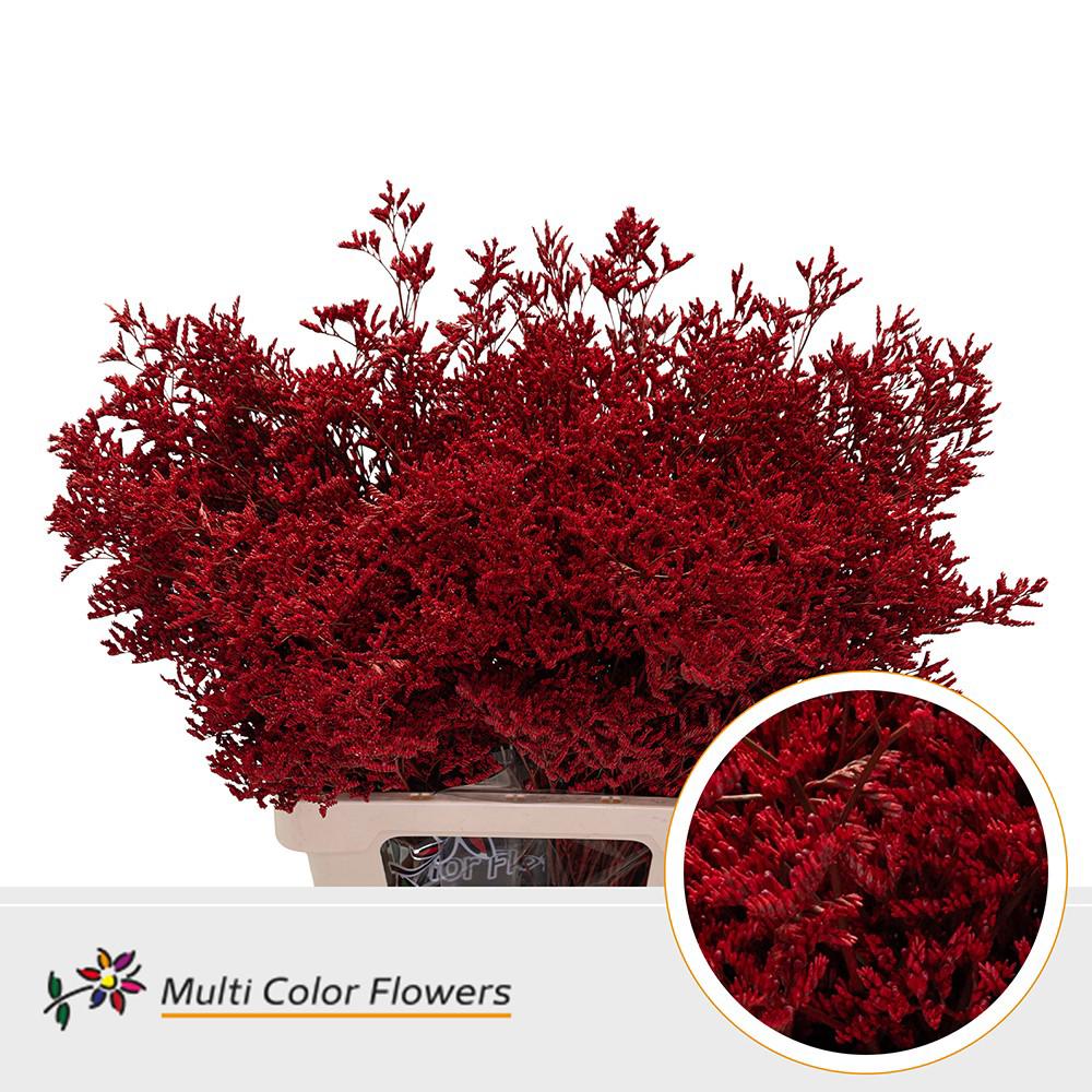 25x Lim. rood 70cm