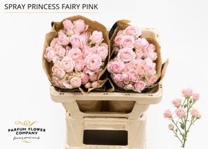 24x Rosa princess fairy pink 50cm