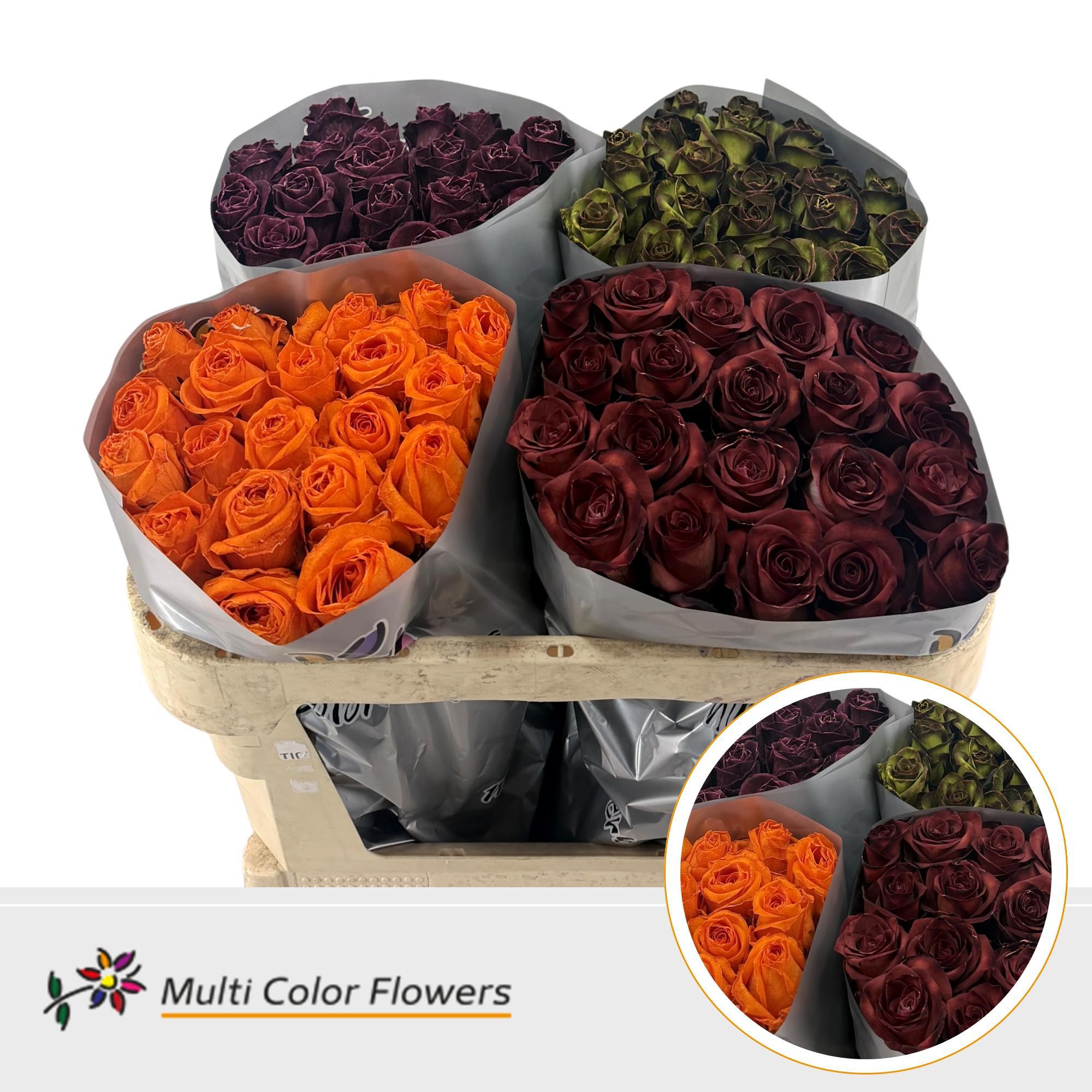 20x Rosa mix var. 70cm