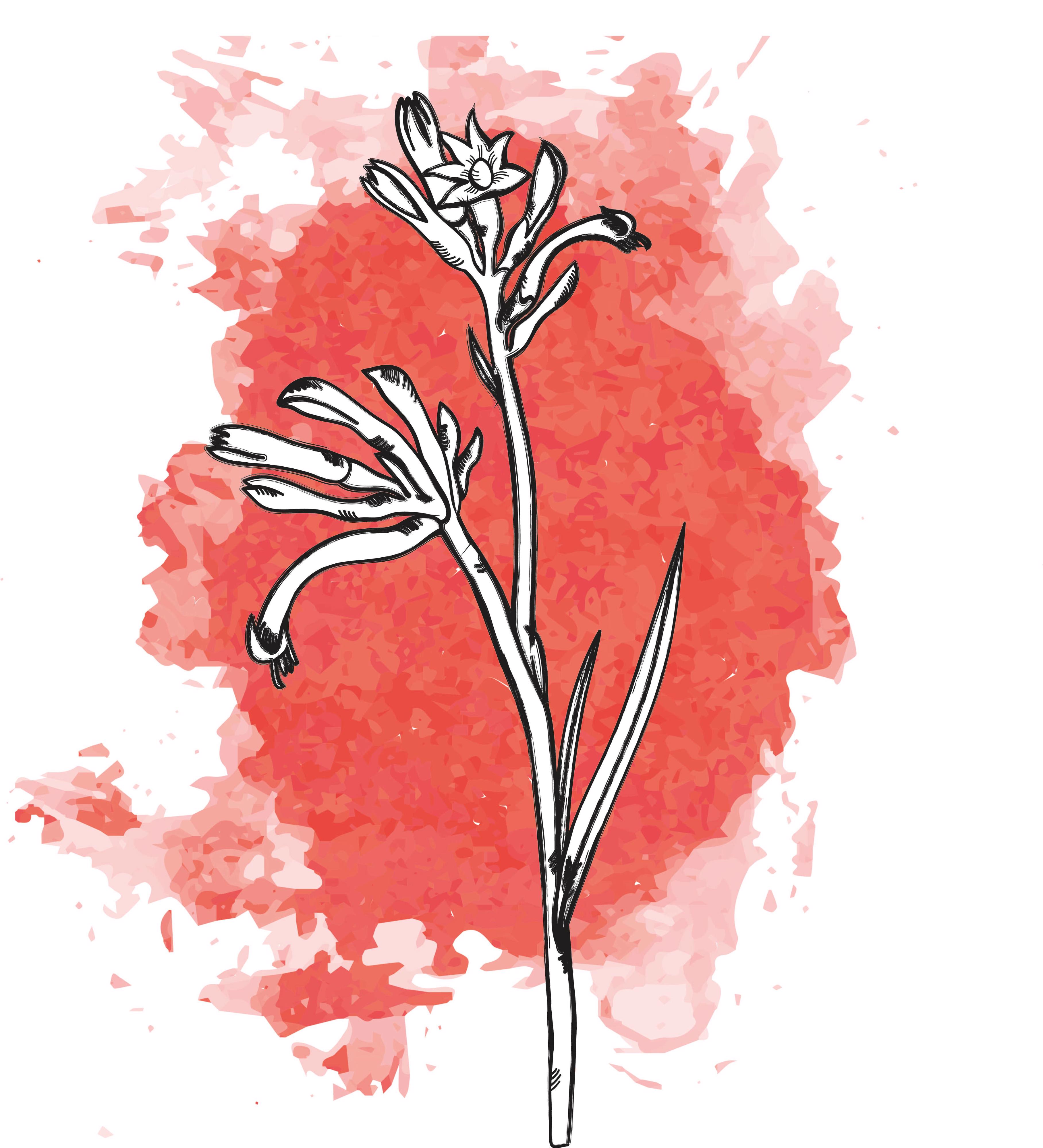 20x Anigoz. - rood 80cm