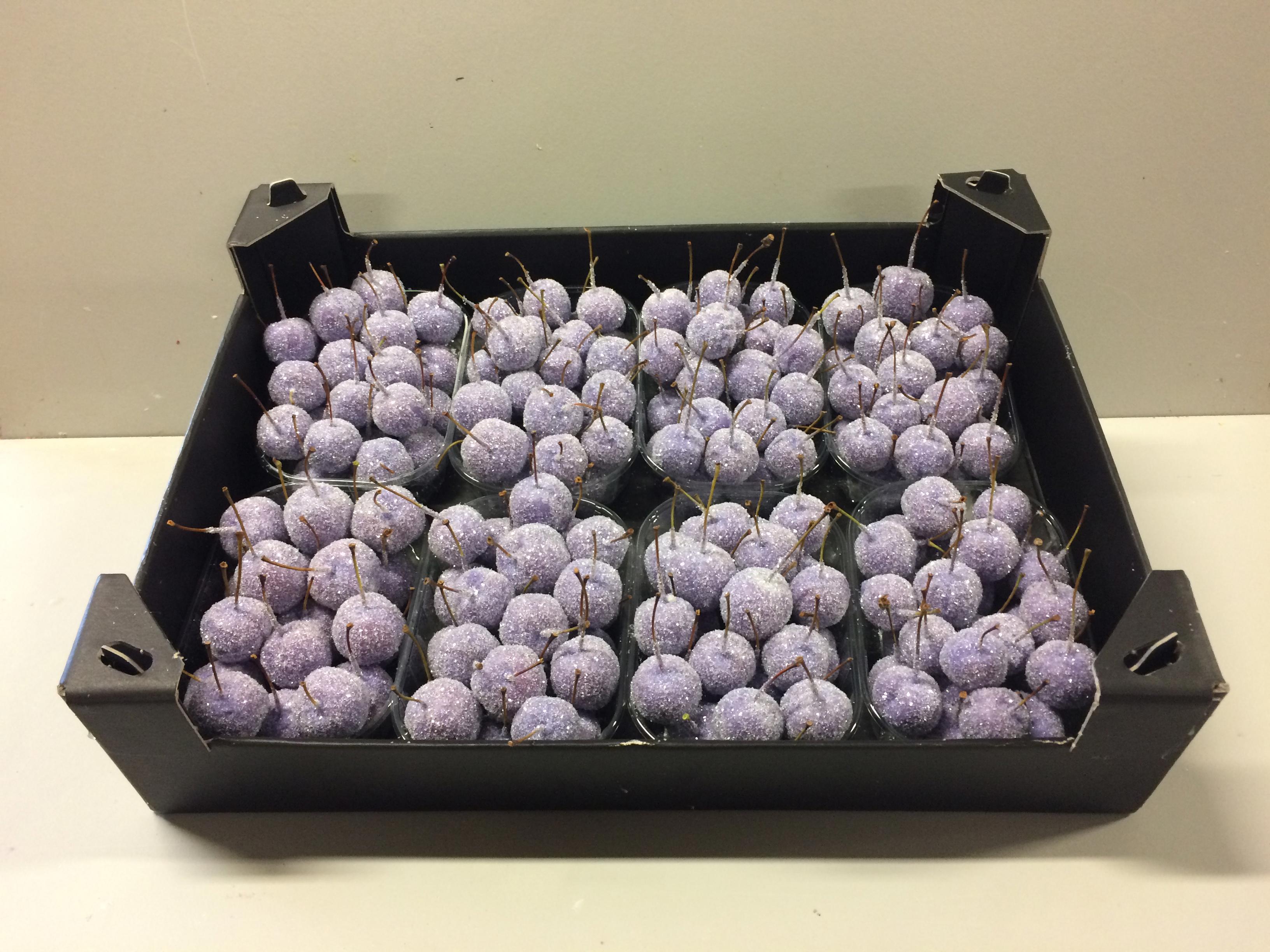 8x Sf malus wax lavendel + glitter