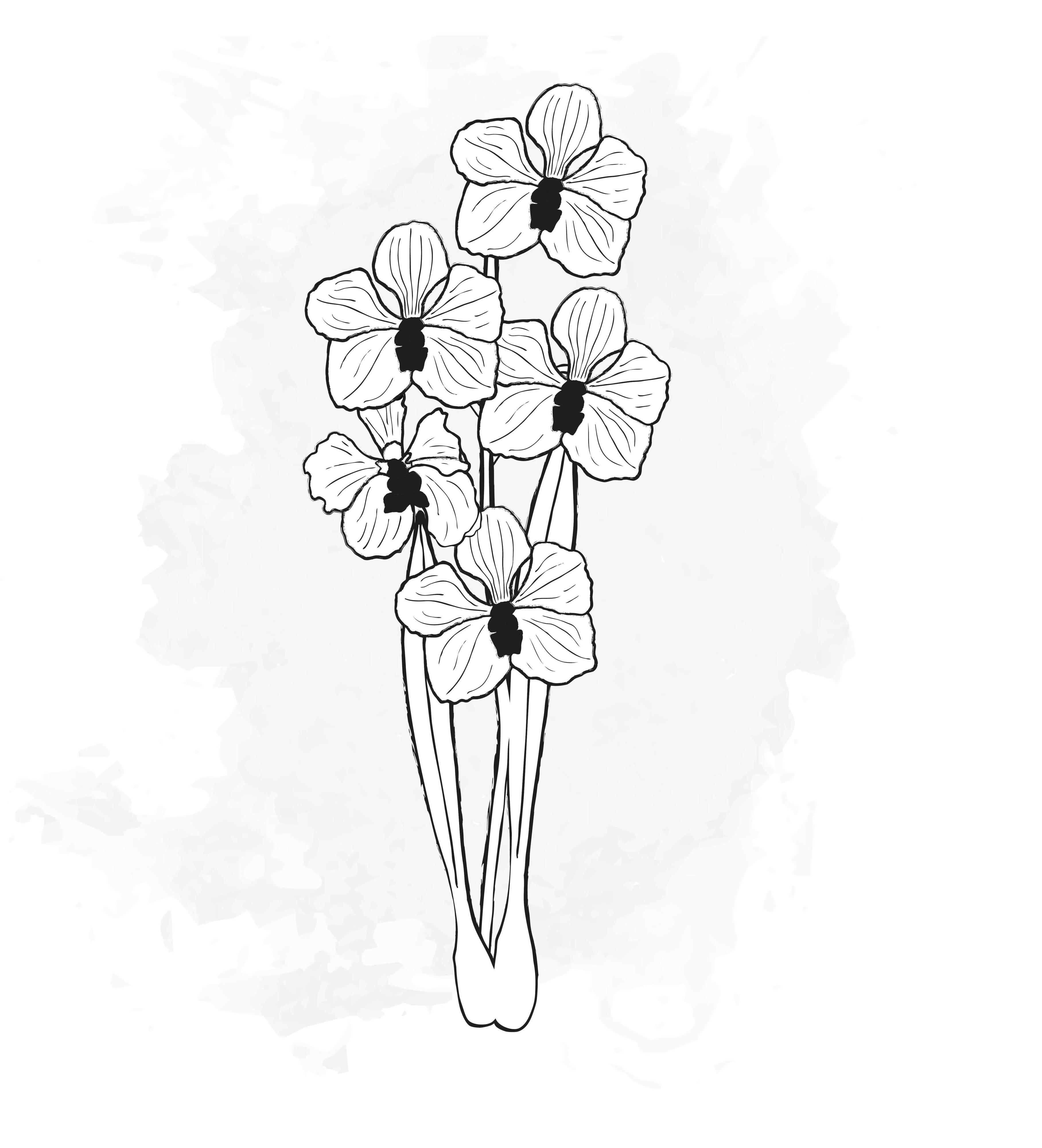 10x Dendr. - wit