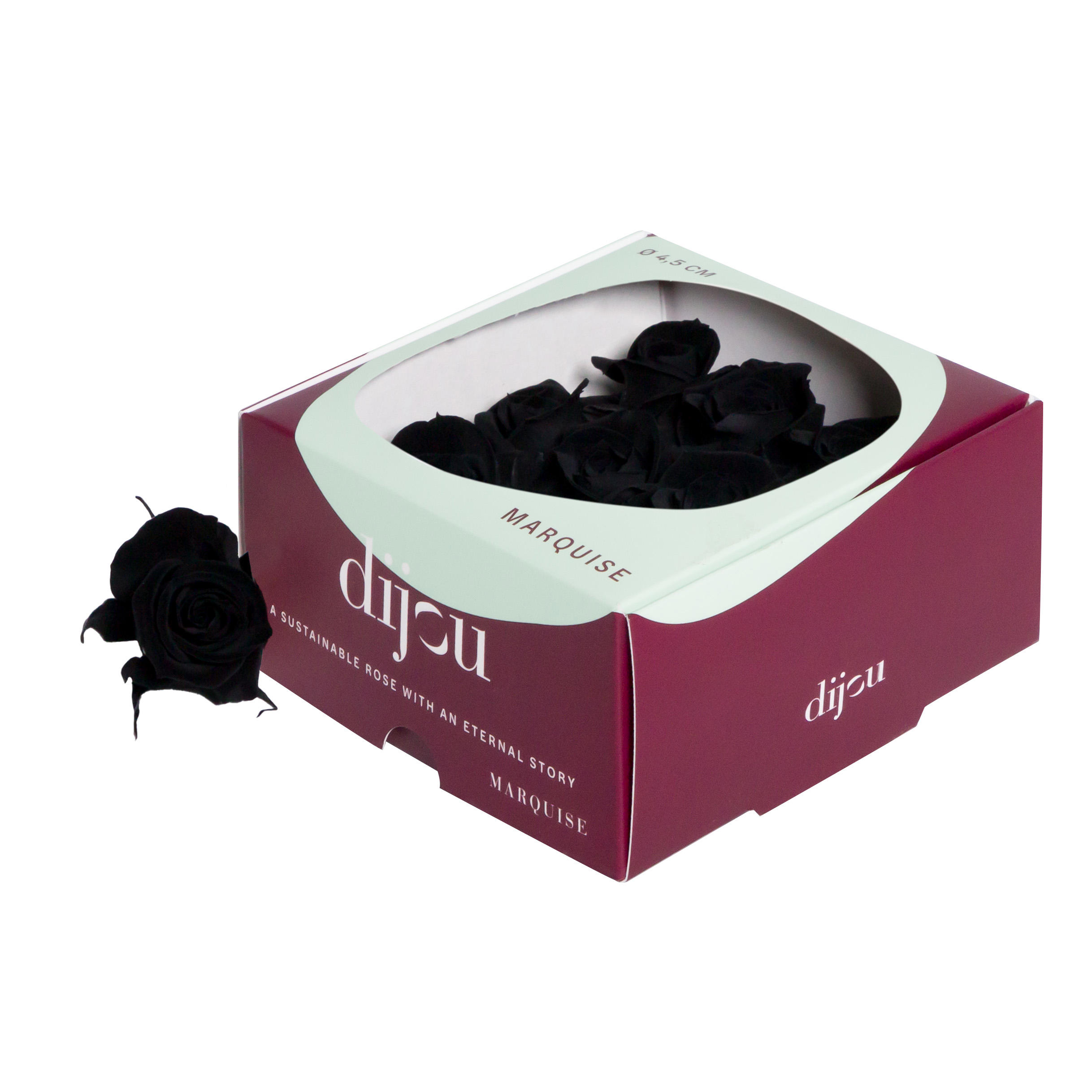 9x Dc pres.rozen black 0006c