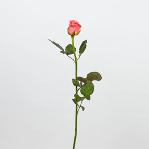 10x Rosa miss piggy+ 40cm